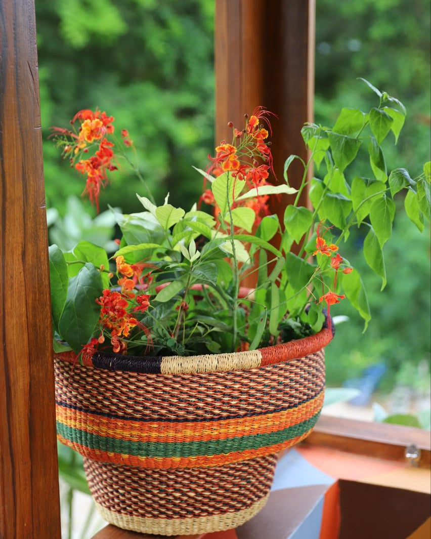 Drum Baskets