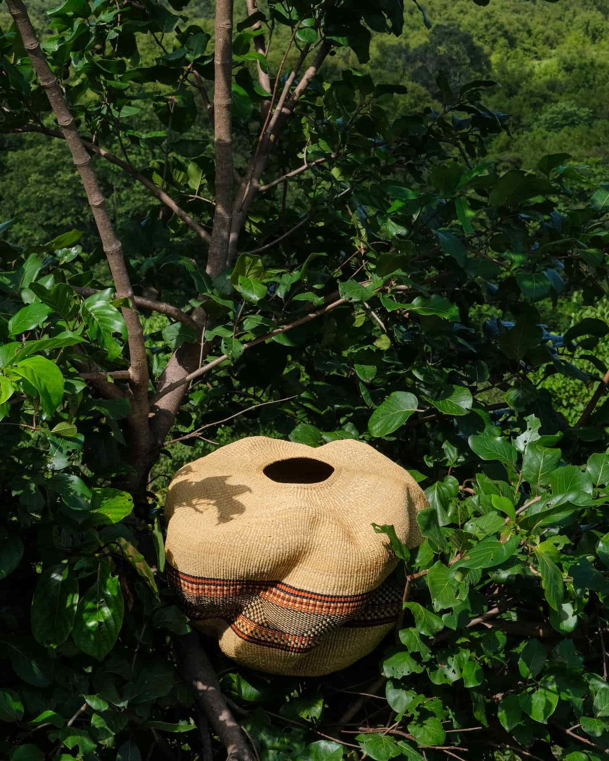 Rounded natural Bolga art basket with an orange patterned band resting in tree branches above a green forest.