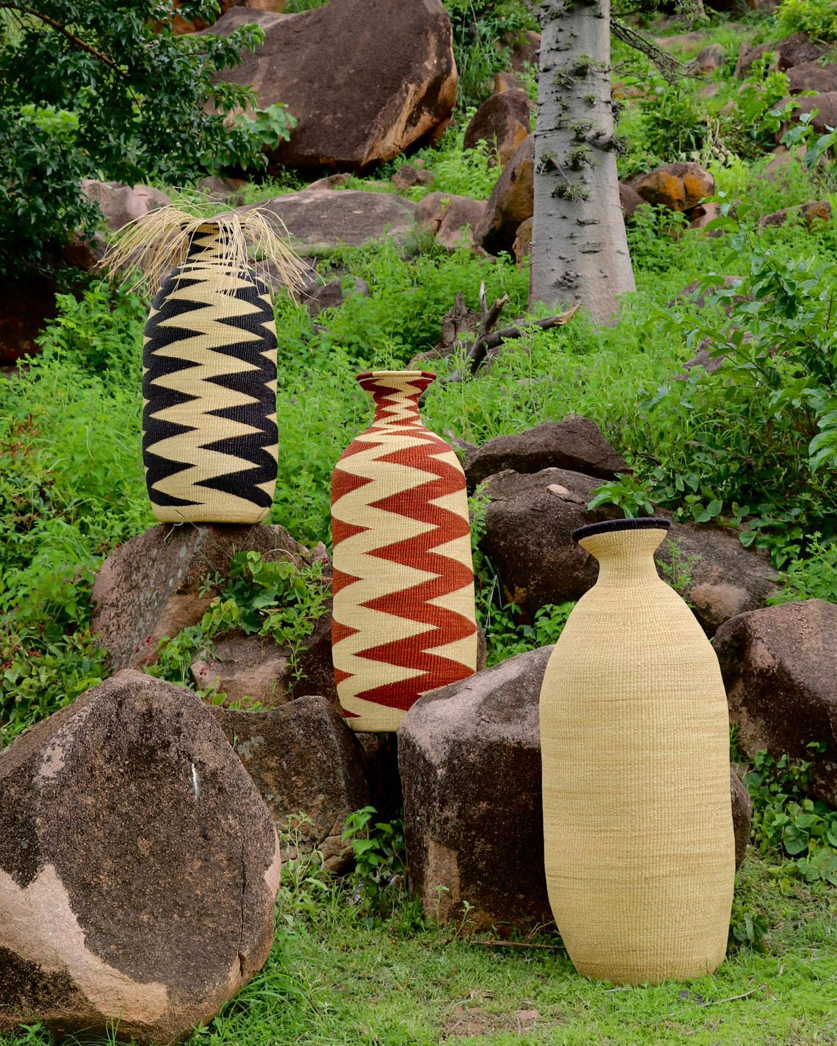 Terra-001.jpg__PID:ecf6921e-600f-4c84-bbcb-90188e2b22fc