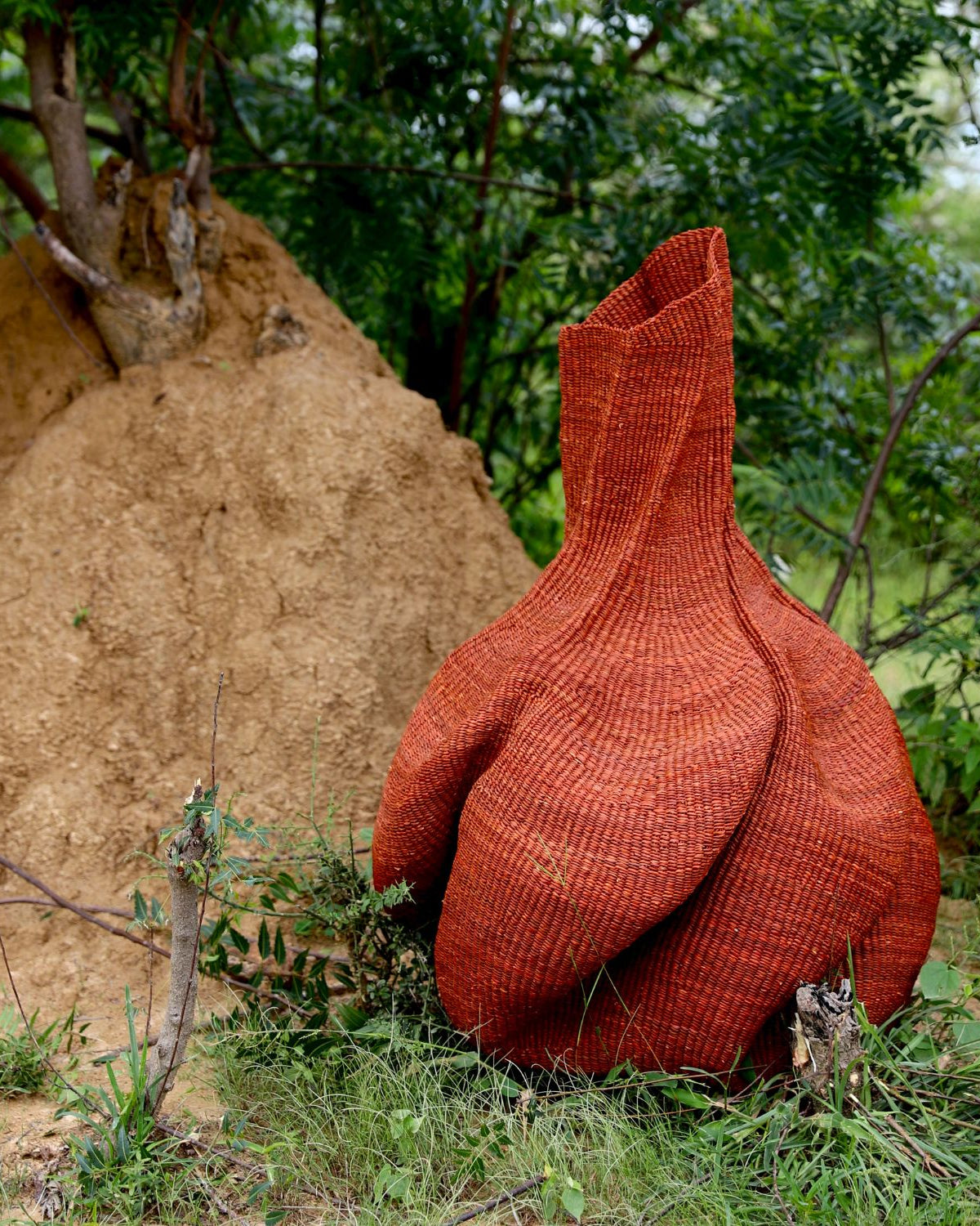 Yobilika-001.jpg__PID:f6921e60-0ffc-443b-8b90-188e2b22fcda