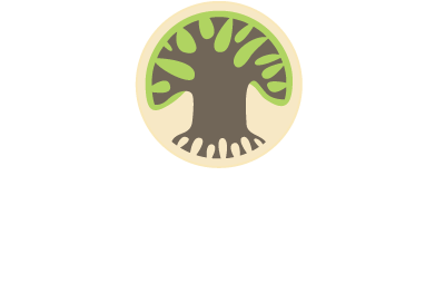 Baba Tree Bicycle Basket Review 2021
