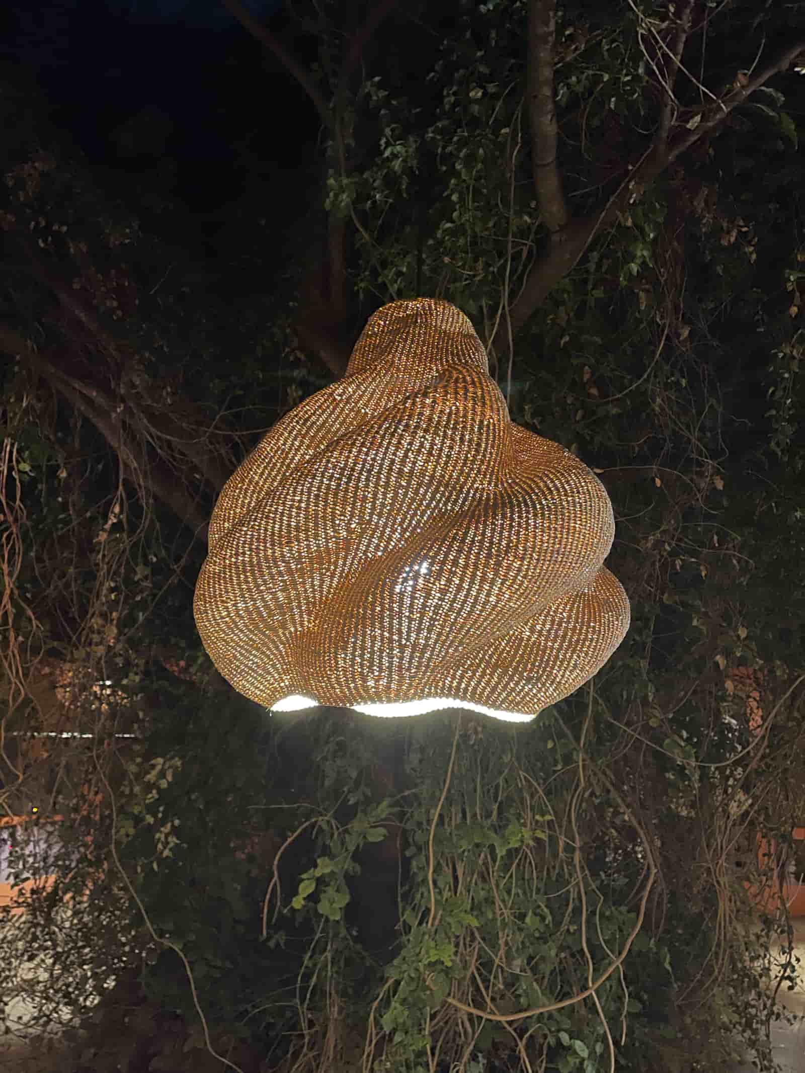 Decorative outdoor light fixture hanging among trees at night
