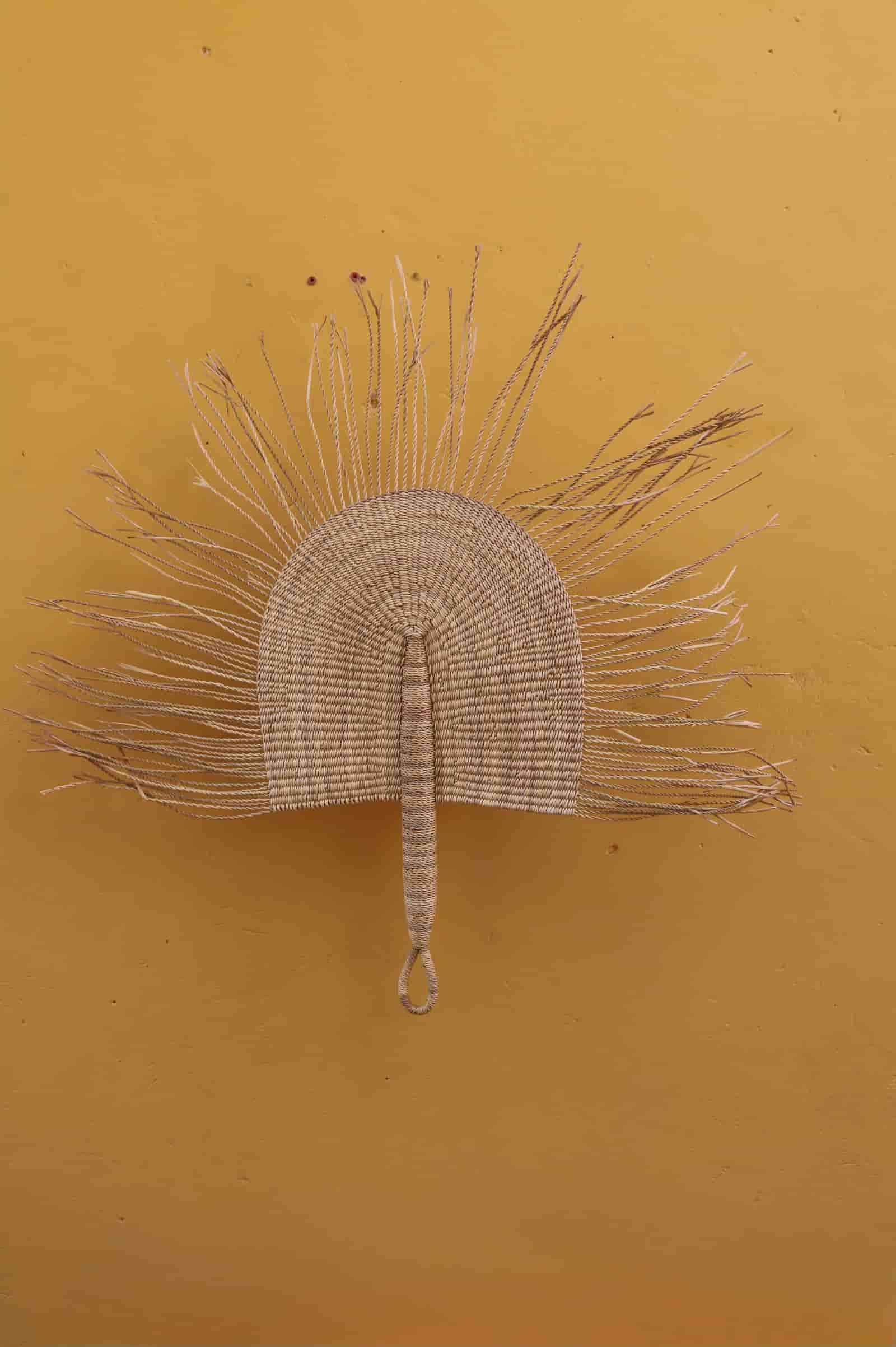 Decorative fan with feather-like bristles on a mustard yellow background