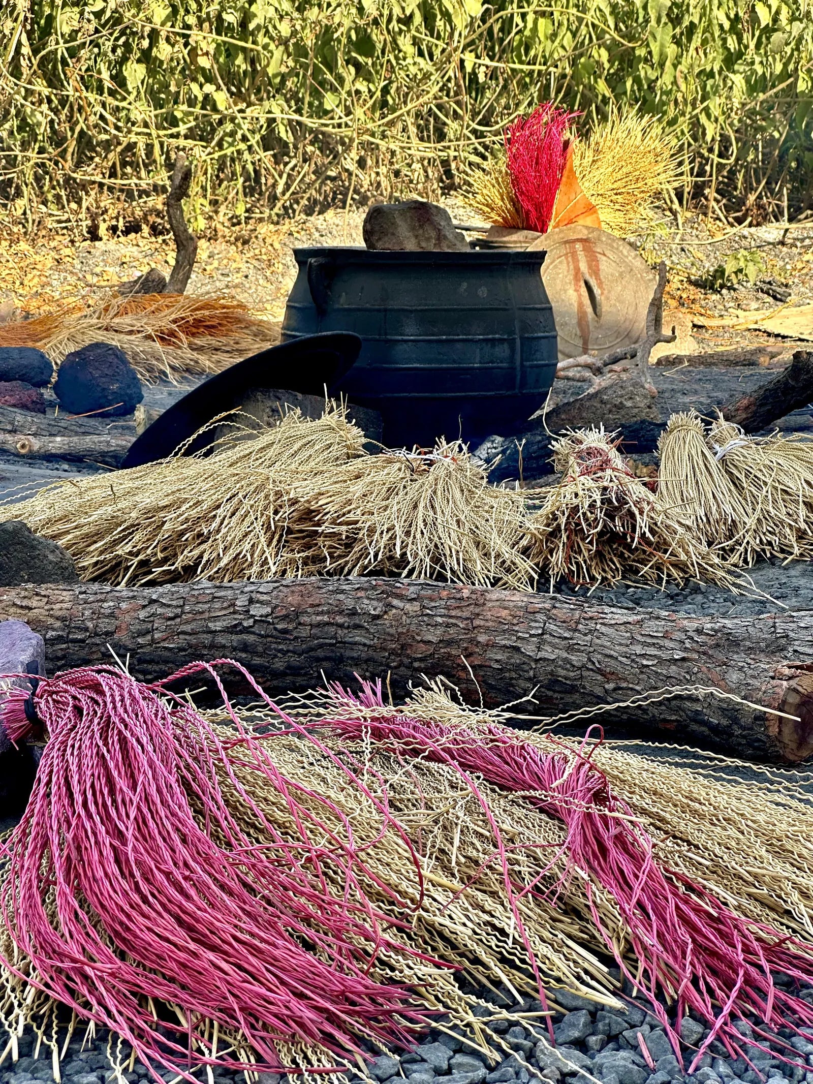 Dyed pink straw and natural straw beside a black dye pot outdoors.