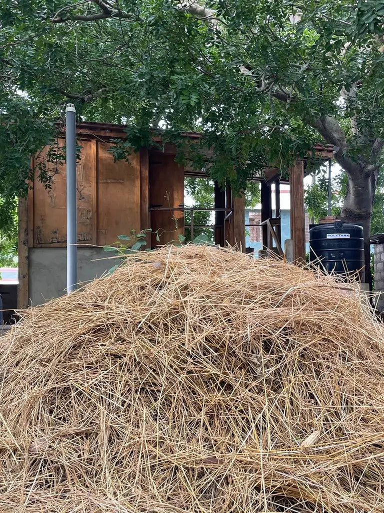 A pile of natural undyed straw offcuts at the compound